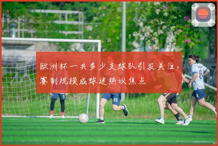 欧洲杯一共多少支球队引发关注,赛制规模成球迷热议焦点